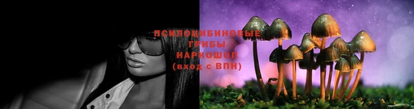 эйфоретик Алексин