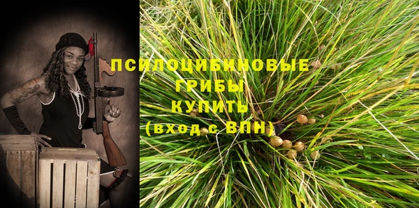 эйфоретик Алексин