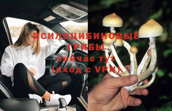 эйфоретик Алексин