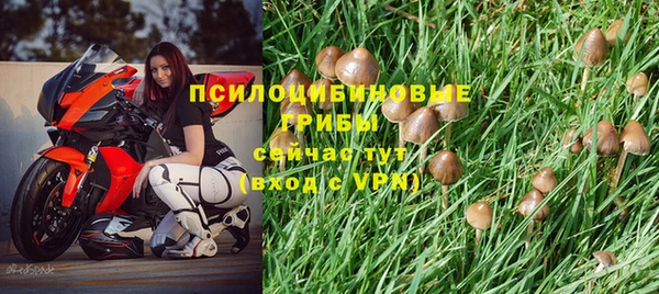 марки lsd Алзамай