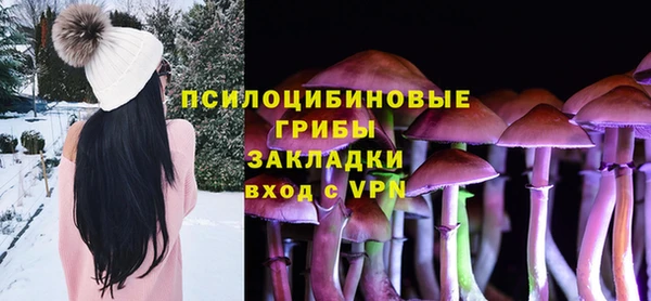 эйфоретик Алексин