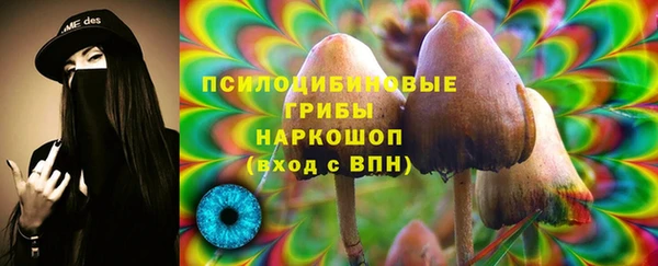 эйфоретик Алексин