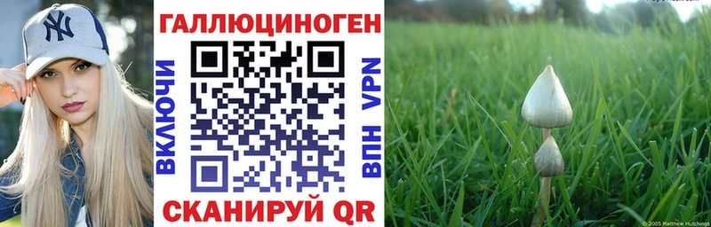Галлюциногенные грибы ЛСД Чебаркуль